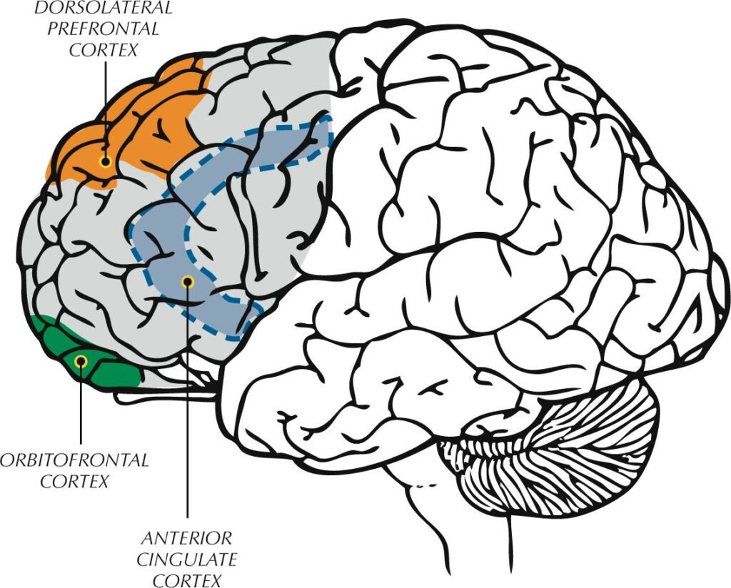 Executive functioning and ADHD